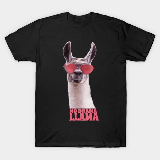 Funny Llama - Llama With Glasses - No Drama Llama T-Shirt by JaydeMargulies